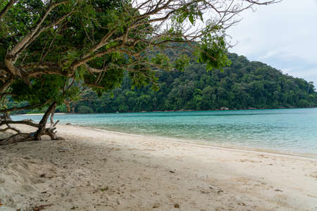 Beautiful Mai ngam bay in Koh Surin national park, the famous free driving spot in Pang Nga, Thailand..の写真素材