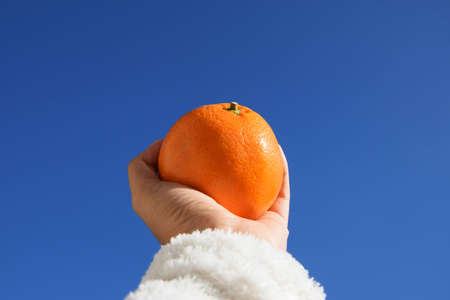 orange with clear blue skyの写真素材
