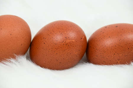 chicken eggs backgroundの写真素材