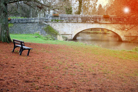 Taxodium distichum leaves and lonely chair backgroundの写真素材