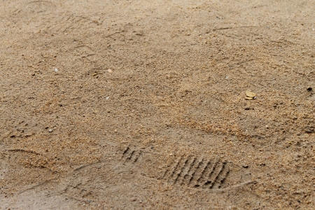 Footprints on the mudの写真素材