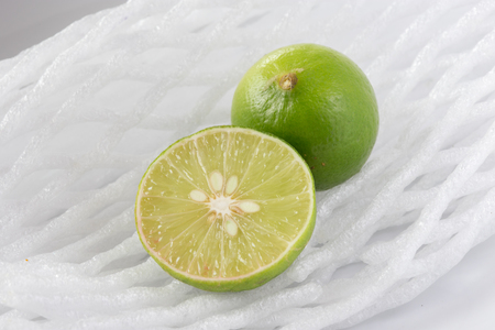 lime on white nest backgroundの写真素材