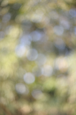 light in festival backgroundの写真素材