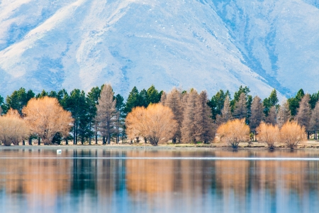 Autumn tree reflection with lake, Lake Clearwater, New Zealandの写真素材