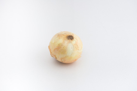 One onion isolatedの写真素材