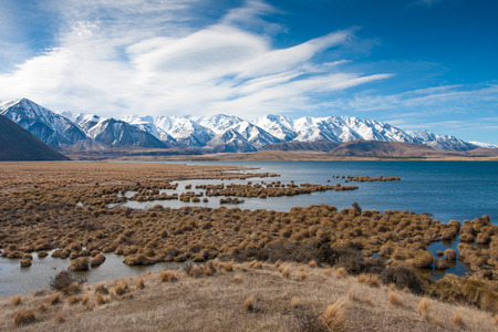 Black Swons in lake and mountains at Lake Heron, Ashburton Lakes, Canterbury, New Zealand.の写真素材
