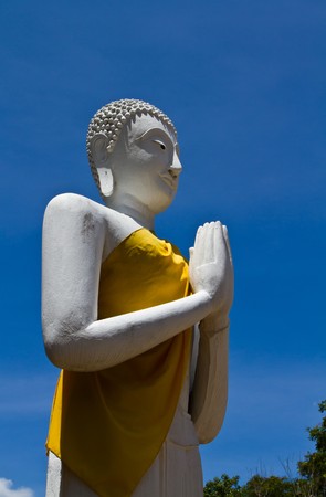 Buddha statue in old temple at ayutthaya,Thailandの写真素材