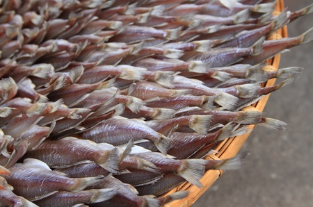 Dried fishs in seafood market,Thailand