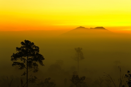 Mountain in mist with morning light