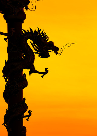 Silhouetted of rhino with evening light の写真素材