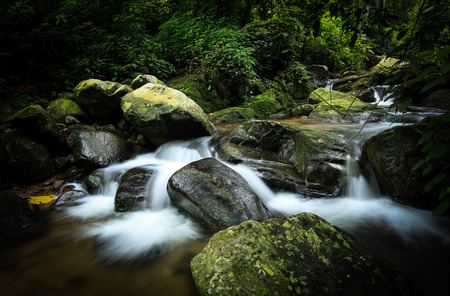 Waterfall in deep forestの写真素材