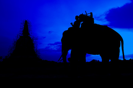 Elephant with ancient pagoda in duskの写真素材