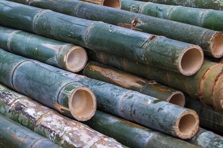 Bamboo Pile Closeupの写真素材