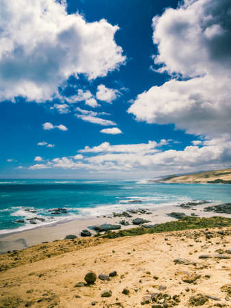 New Zealand Coastの写真素材