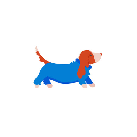 Cartoon style icon of basset hound in overalls. Vector illustration.のイラスト素材