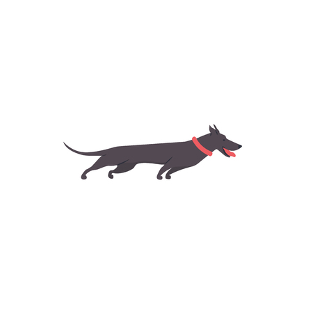 Icon of dachshund. Cute family dog. Vector.のイラスト素材