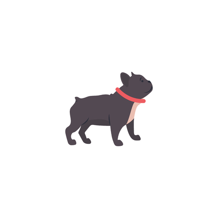 Icon of french bulldog. Cute family dog. Vector.のイラスト素材