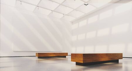 Exhibition interior with blank picture frames. Gallery with spot lights, natural sunlights and empty canvas. 3d renderingの写真素材