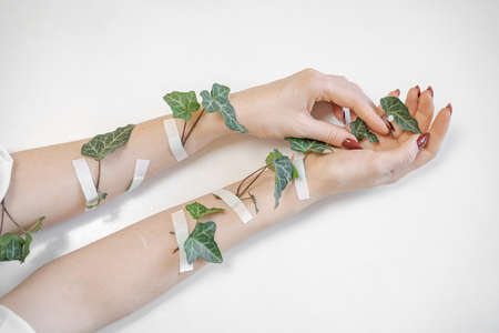 beautiful pink roses on delicate female hands on white background hand skin care concept.の写真素材