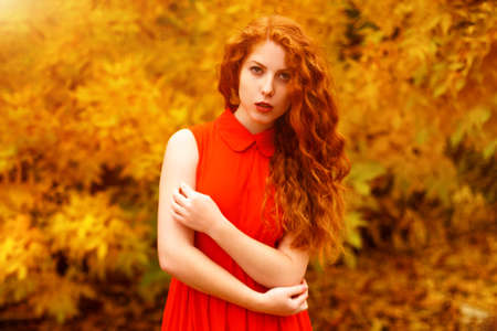 Portrait of a beautiful red-haired girl in a red dress against a background of yellow leaves.の写真素材