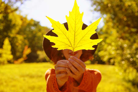 A happy woman in an autumn Park with a hat holding a maple leaf in the sun.の写真素材