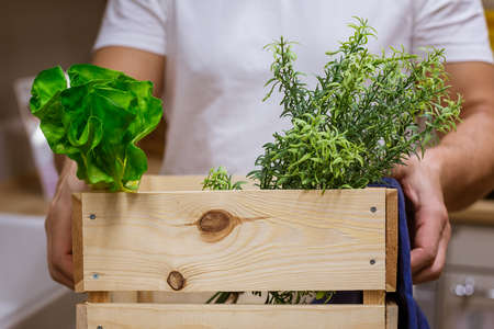 A man in a white t-shirt on the kitchen background holds a wooden box with greenery, without a face.の写真素材
