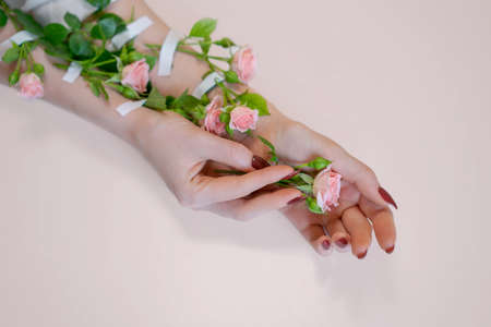 Women's beautiful hands with pink rose flowers on a white background . The concept of caring for the skin. Flowers glued with adhesive tapeの写真素材