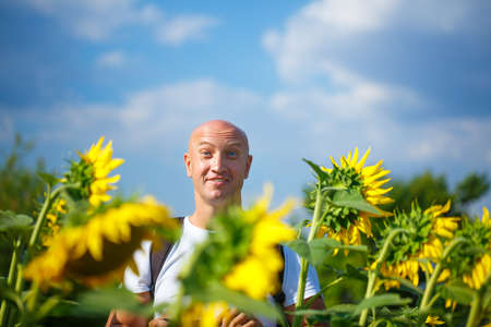 A cheerful bald man in a field of blooming yellow sunflowers against a blue sky stands smilingの写真素材