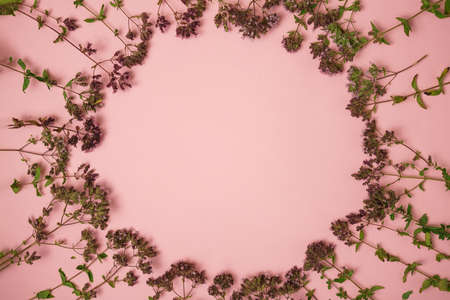 small flowers as a frame on a pink background, a place for an inscriptionの写真素材