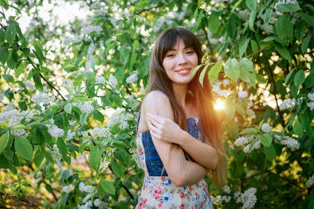 Portrait of a beautiful young woman on the background of a flowering bird cherry bush
