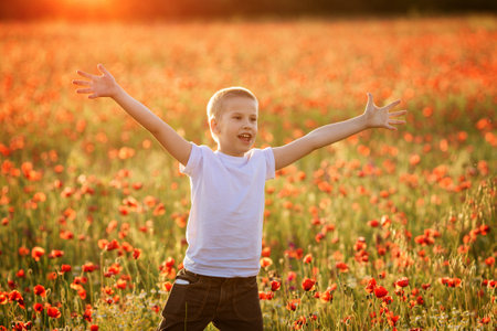 Portrait of a happy boy 10 years old on a poppy field in summer, a child with raised hands from happiness. happy childhoodの写真素材