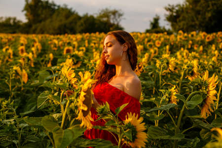 Young woman smiling at sunset in a field of sunflowers. A cute girl of Caucasian appearance in a red dress is happy and free to stand in the evening in the rays. Natural beauty in natureの写真素材