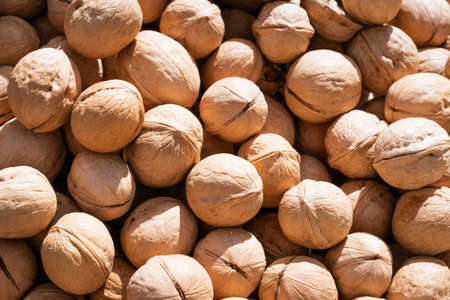 texture unpeeled walnuts in shell top view as backgroundの写真素材