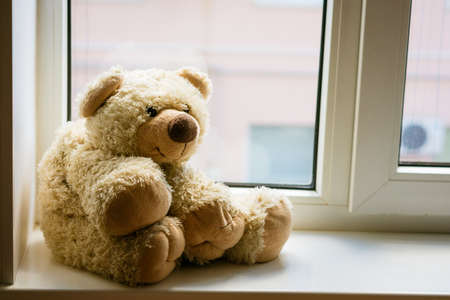 A cute teddy bear sits on the windowsill by the window. Stay home, safe. In a homely atmosphere with a dream to take a walk in nature. Sits alone and a sad friend left himの写真素材