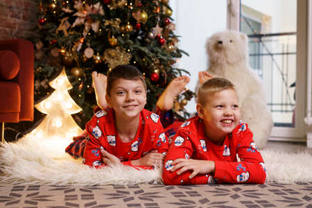 Christmas at home. Children lie under the tree. Little boys in red pajamas. Celebrating the winter holiday. Love and friendship.の写真素材