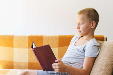 Caucasian school-age boy reading a book while sitting on the couch at home. Free time usefully. In...