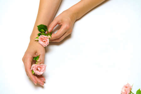 Mothers day. Female hands hold a rose flower. Love and romance concept. Beauty concept. Flat style. Copy space. Blank postcard on a white background.の写真素材
