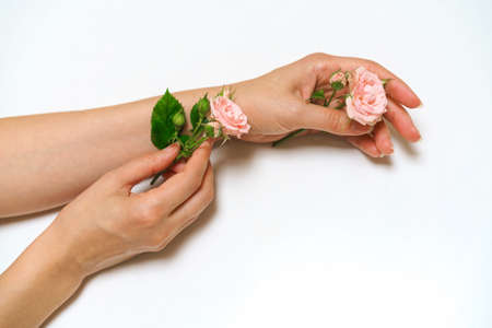 Female hands with natural manicure on white background with pink rose flowers. The concept of natural cosmetics and hand skin care. Delicate flowers in hands of a girl on a light table. Copy spaceの写真素材