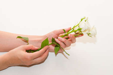 Beauty woman hands with white rose flowers on table. Natural cosmetic product for hand skin care. Fashion makeupの写真素材