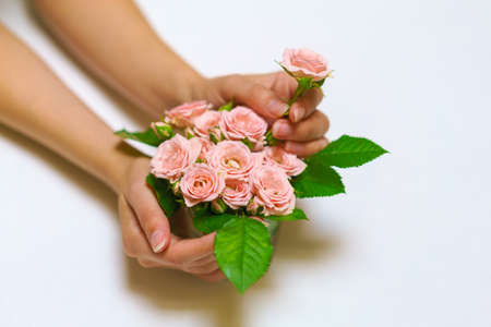 Close-up of woman florists hand making bouquet of pink roses on a light table. Beautiful cute bouquet for womens holiday. The concept of the work of the florist in the store.の写真素材
