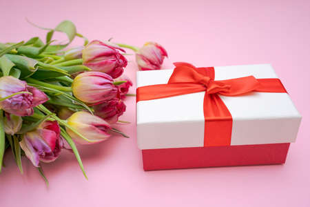Bouquet beautiful pink tulips lies with gift box with red ribbon. Light pink background. Spring break concept and congratulations, universal postcardの写真素材