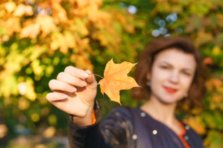 Joyful pretty young happy woman with a beautiful smile in a red sweater with a bouquet of leaves posing in the park. A cheerful girl loves to walk in nature. Great weekend. Seasonの写真素材