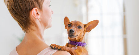 Woman hugs cute little dog lying in her arms at home. Close-up. Trust and calmness, care, friendship and love. Happy cozy moments of life. Stay at home concept, animal family memberの写真素材