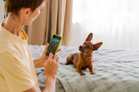 Mature woman with a phone in her hand with a pygmy pinscher in the bedroom spends time at home enjoying leisure, taking pictures and posting on social networksの写真素材