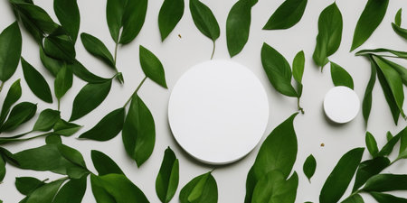 White round template podium mockup for natural organic cosmetic product presentation advertising concept on green eco forest forest fresh leaves Nature flat background, trendy stylish minimalistの写真素材