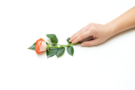 Beauty womans hand with rose flowers lies on the table, white background. Natural beauty product and hand care, moisturizing and wrinkle reduction, skin careの写真素材