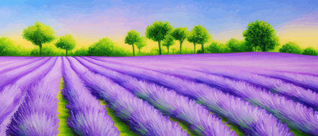 Horizon view lavender valley. Sunny day summer weather. Sunset Meadow Outdoor Wallpaper. Countryside lavender field scene. Rural landscape vector illustration. Farming agriculture colorful concept.のイラスト素材