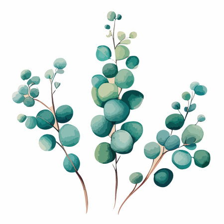 Watercolor eucalyptus bouquet illustration. Hand-painted branches of sage green eucalyptus, isolated white background. Beautiful floral arrangement. Vector illustrationのイラスト素材