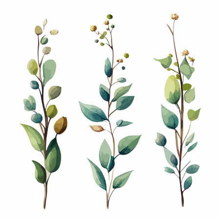 Watercolor eucalyptus bouquet illustration. Hand-painted branches of sage green eucalyptus, isolated white background. Beautiful floral arrangement. Vector illustrationのイラスト素材