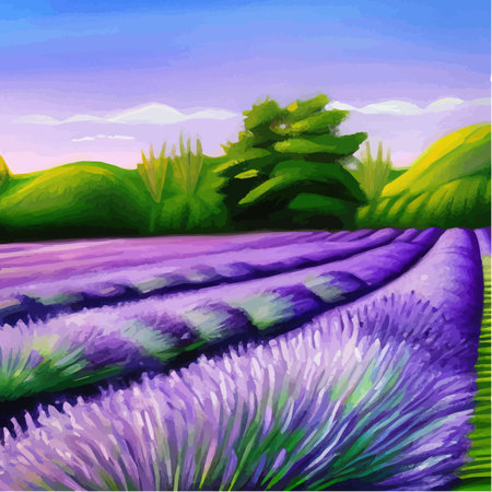 Purple lavender bloom. Purple fragrant lavender flowers. Illustration for perfumery, health products, wedding. Summer landscape Provence, France. Vector illustrationのイラスト素材